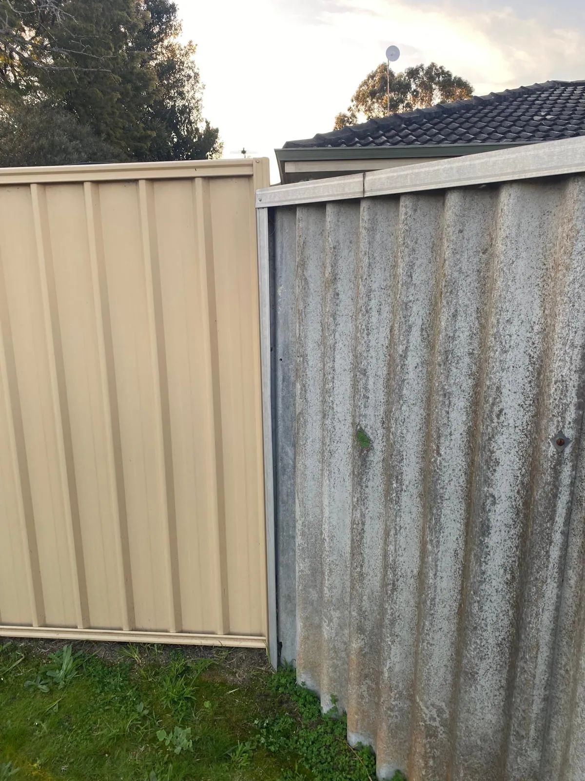 asbestos removal services